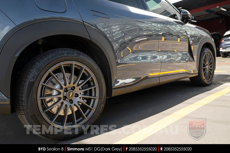 20x8.5 20x10 Simmons MS1 DG on BYD Sealion 8