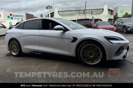 19x8.5 19x9.5 Simmons OM-1 Gold on BYD Seal