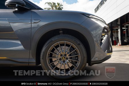 20x8.5 20x10 Simmons MS1 DG on BYD Sealion 8