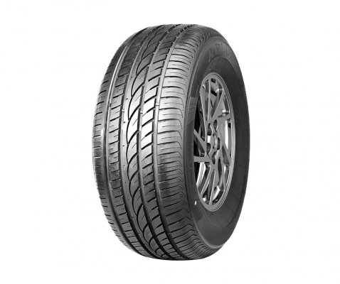 APlus 255/30R22 95W A607