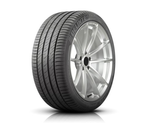 Delinte 295/30R21 102W DS2