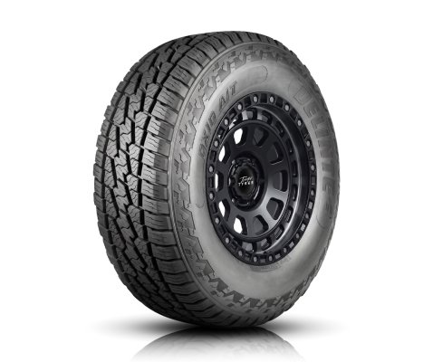 Delinte 245/75R16 120/116S DX-10(All Terrain)